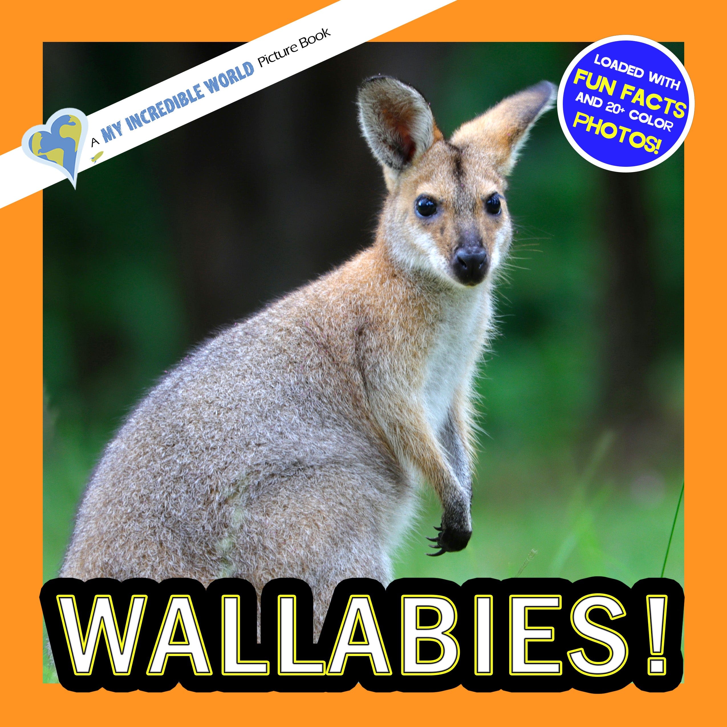 Wallabies! A My Incredible World Picture Book for Children